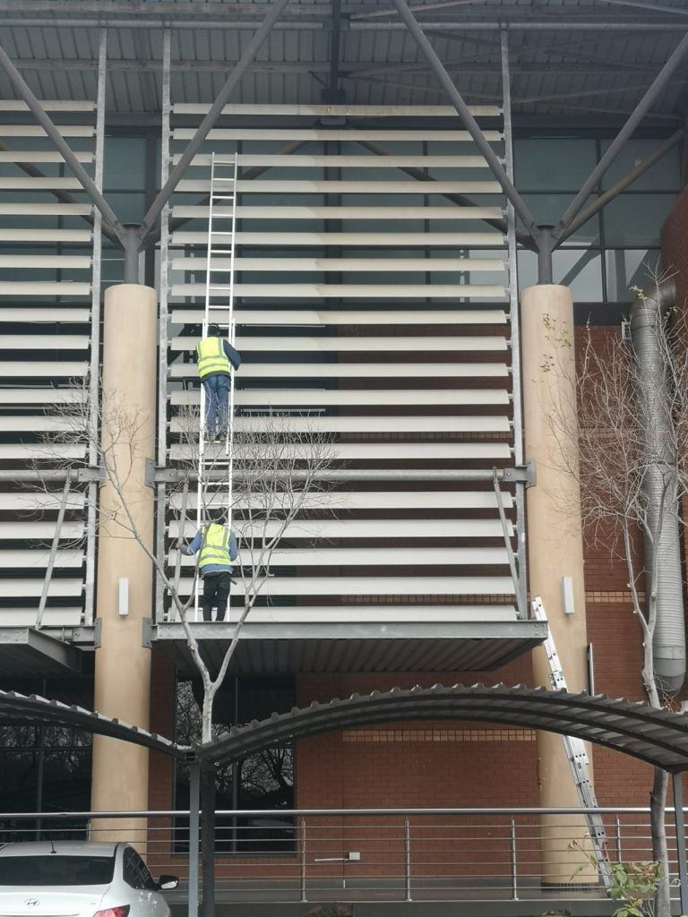 Sparkleen window cleaning job photo